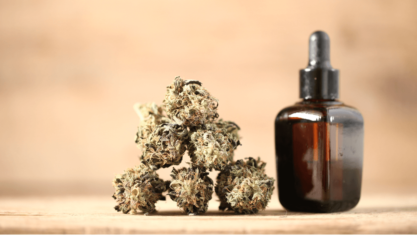 THC Cannabis Oil for Sale in Europe from Trusted Dispensary